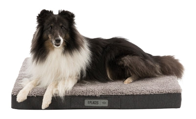 Product image of:TRIXIE VITAL MATRAS BENDSON ORTHOPEDISCH DONKERGRIJS / LICHTGRIJS