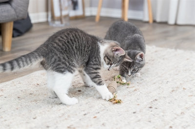 Product image of:TRIXIE RUGBYBAL KARTON / HENNEP BEIGE