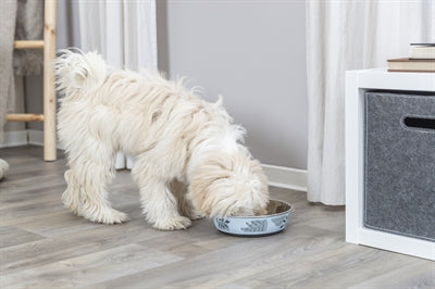 Product image of:TRIXIE VOERBAK WATERBAK RVS / KUNSTSTOF / RUBBER BLAUW / GRIJS