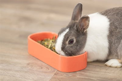 Product image of:TRIXIE VOERBAK / DRINKBAK OVAAL KERAMIEK ASSORTI