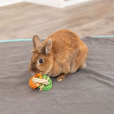 Product image of:TRIXIE RINGEN VAN MAISLIES