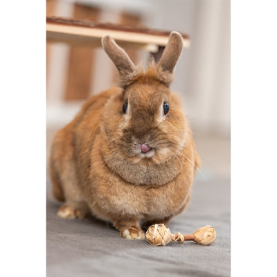 Product image of:TRIXIE SET HALTERS VAN SCHORSHOUT / GRAS