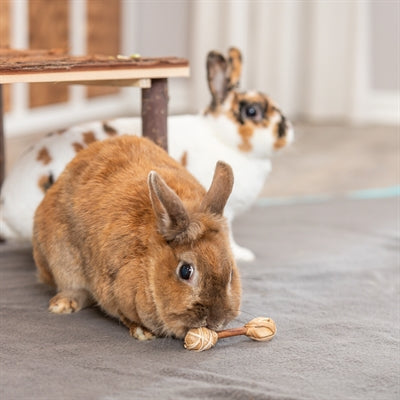 Product image of:TRIXIE SET HALTERS VAN SCHORSHOUT / GRAS