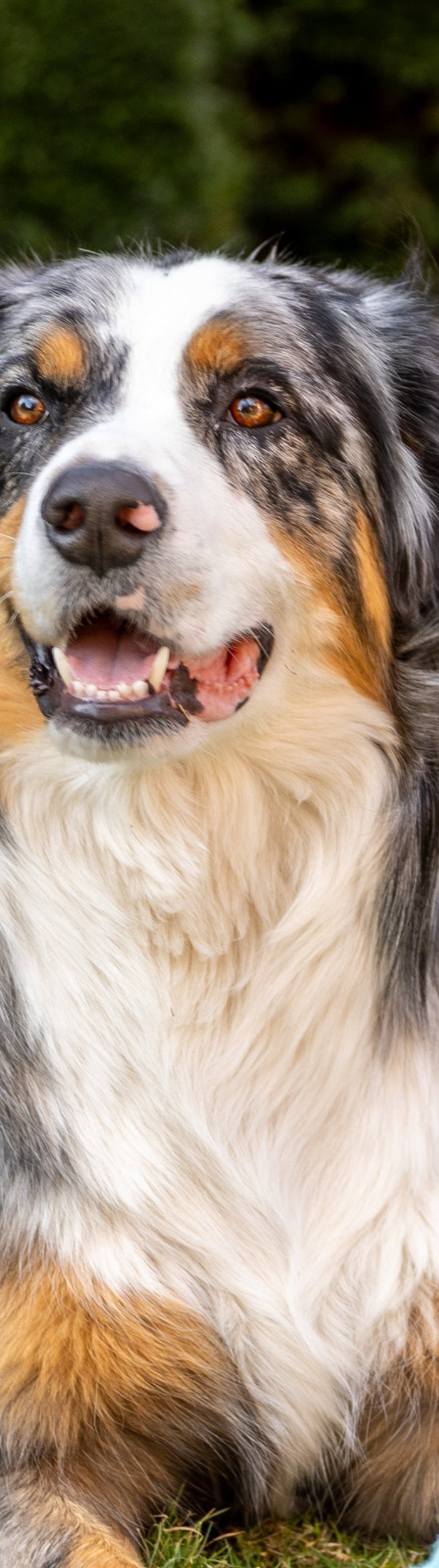 <h1>Hoe kunnen we je helpen?</h1>