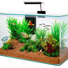 Collection image for: Aquariumdecoratie