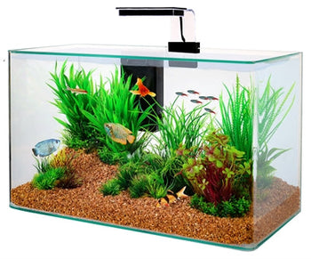 Aquariumdecoratie