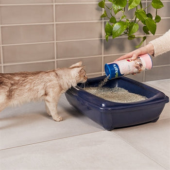 Kattenbakvulling