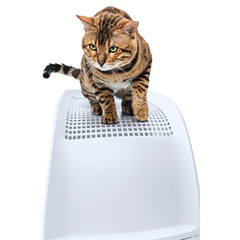 Collection image for: Kattenbakken