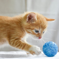 Collection image for: Katten