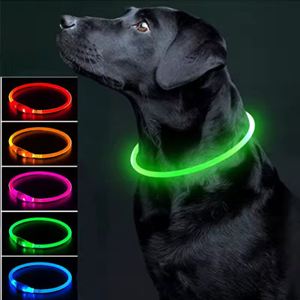 Verstelbare LED Hondenhalsband – USB Oplaadbaar – Veilig & Waterdicht – Voor Kleine en Grote Honden