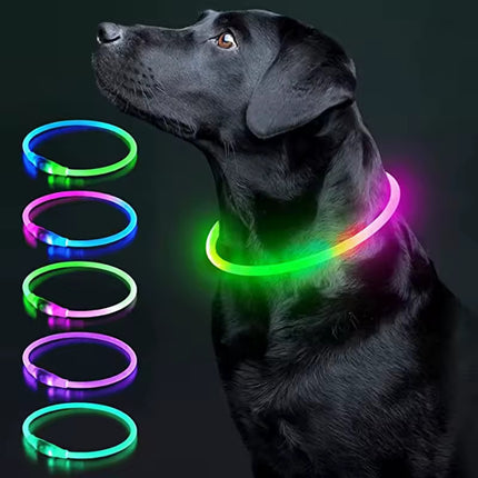 Verstelbare LED Hondenhalsband – USB Oplaadbaar – Veilig & Waterdicht – Voor Kleine en Grote Honden