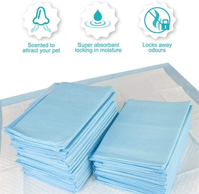 Product image of:PETSENTIALS PUPPY TRAINING PADS