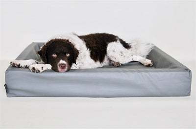 Product image of:BIA BED HONDENMAND ORIGINAL GRIJS