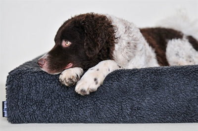 Product image of:BIA BED FLEECE HOES HONDENMAND GRIJS