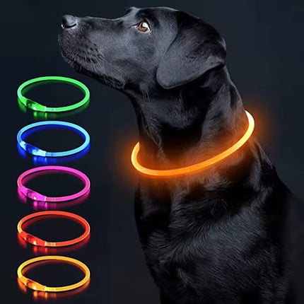 Verstelbare LED Hondenhalsband – USB Oplaadbaar – Veilig & Waterdicht – Voor Kleine en Grote Honden