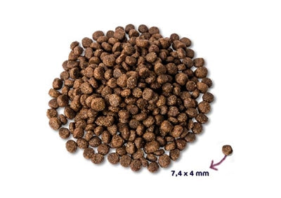 Product image of:RENSKE SUPER PREMIUM PUPPY KIP / LAM