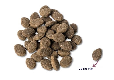 Product image of:RENSKE SUPER PREMIUM ADULT LAM GRAANVRIJ HYPOALLERGEEN