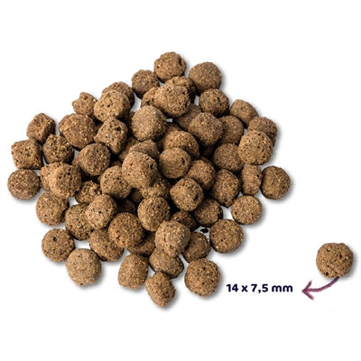 Product image of:RENSKE SUPER PREMIUM ADULT OCEAANVIS HYPOALLERGEEN