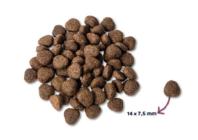 Product image of:RENSKE SUPER PREMIUM ADULT ZALM GRAANVRIJ HYPOALLERGEEN