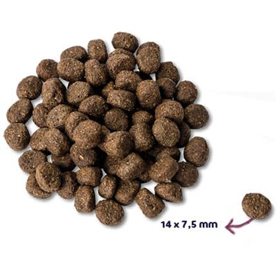 Product image of:RENSKE SUPER PREMIUM SENIOR KALKOEN GRAANVRIJ HYPOALLERGEEN