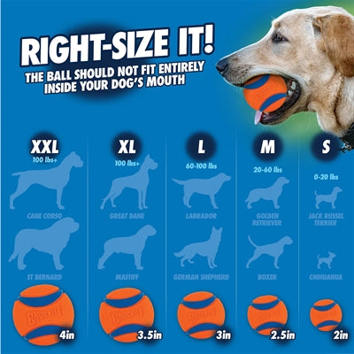 Product image of:CHUCKIT ULTRA BAL