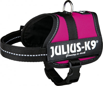 Product image of:JULIUS K9 POWER-HARNAS / TUIG VOOR LABELS FUCHSIA
