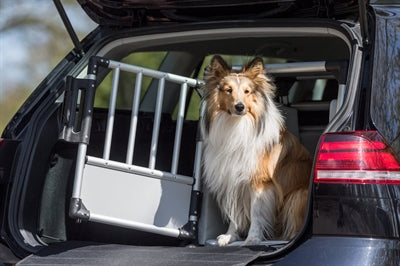 Product image of:TRIXIE TRANSPORTBOX ALUMINIUM