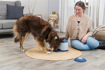 Product image of:TRIXIE DOG ACTIVITY MEMORY TRAINER 3.0