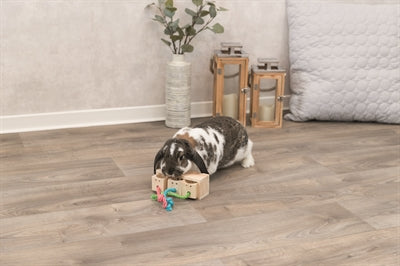 Product image of:TRIXIE SNACK KUBUS HOUT