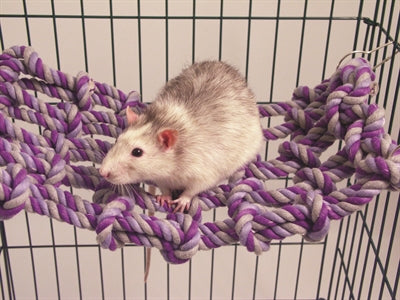 Product image of:ROSEWOOD CARGO NET VOOR RAT OF FRET