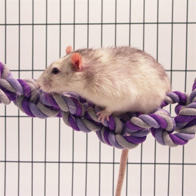 Product image of:ROSEWOOD CARGO NET VOOR RAT OF FRET