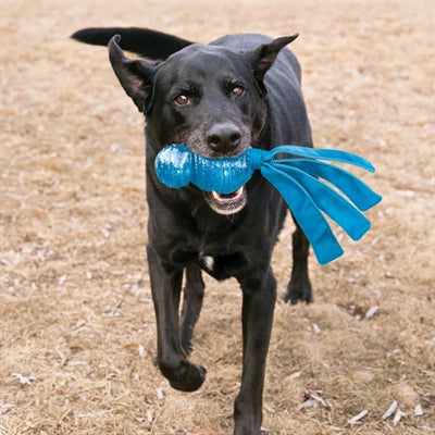 Product image of:KONG WUBBA COMET