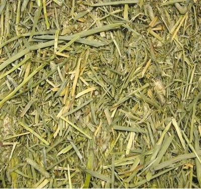 Product image of:BEAPHAR CARE+ TIMOTHY HOOI