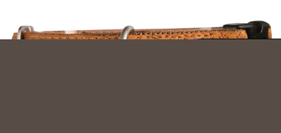 Product image of:MACLEATHER HALSBAND BRUIN