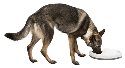 Product image of:TRIXIE TX4+1 AUTOMATISCHE VOERDISPENSER