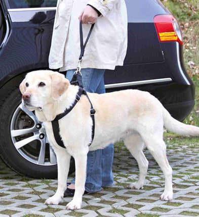 Product image of:TRIXIE AUTOGORDEL KORTHOUDER UNIVERSEEL ZWART