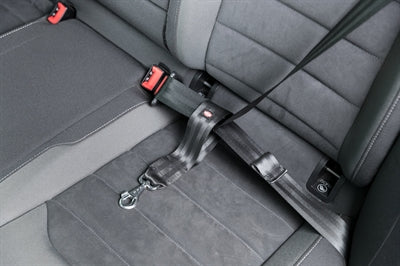 Product image of:TRIXIE AUTOGORDEL KORTHOUDER UNIVERSEEL ZWART