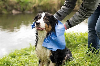 Product image of:TRIXIE HANDDOEK ASSORTI