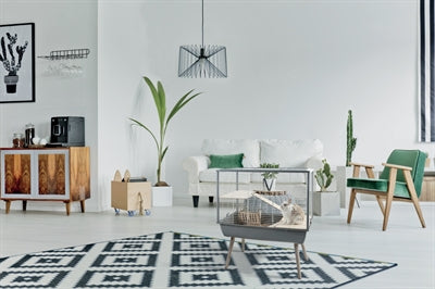 Product image of:ZOLUX KNAAGDIERKOOI NEO MUKI ZWART