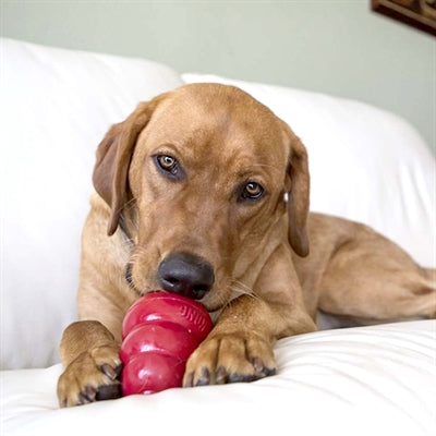 Product image of:KONG SNACKS BACON / CHEESE