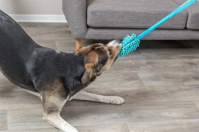 Product image of:TRIXIE BUNGEE DUMMY POLYESTER PETROL