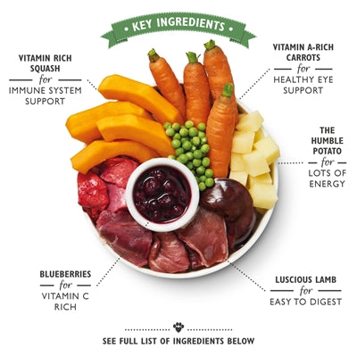 Product image of:LILY'S KITCHEN DOG LAMB HOTPOT