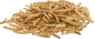 Product image of:TRIXIE MEELWORMEN GEDROOGD