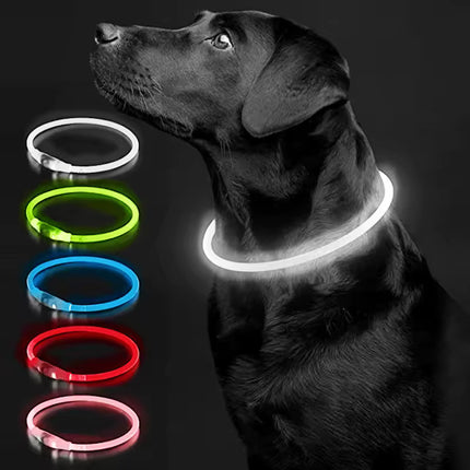 Verstelbare LED Hondenhalsband – USB Oplaadbaar – Veilig & Waterdicht – Voor Kleine en Grote Honden