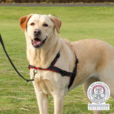 Product image of:TRIXIE HONDENTUIG TRAININGSTUIG LEAD'N'WALK SOFT ZWART