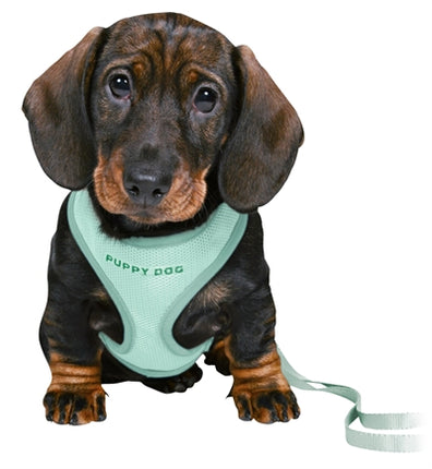 Product image of:TRIXIE JUNIOR PUPPYTUIG SOFT MET RIEM MINTGROEN