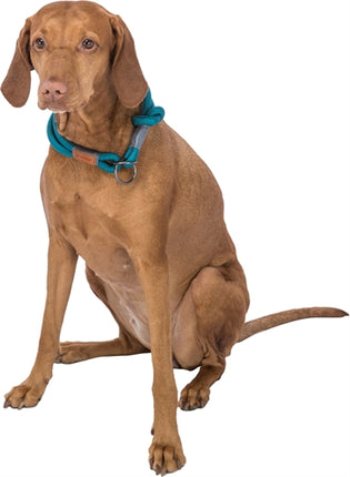 Product image of:TRIXIE HALSBAND HOND BE NORDIC HALFSLIP PETROL / LICHTGRIJS
