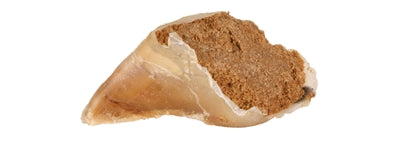 Product image of:TRIXIE KAUWHOEF MET VULLING 115 G