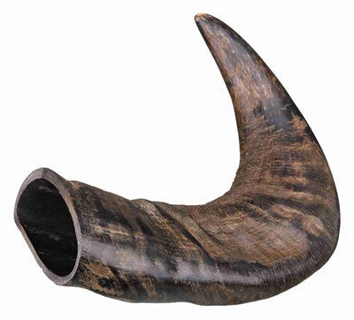 Product image of:TRIXIE NATUUR-KAUWHOORN VAN DE BUFFEL MIDDEL