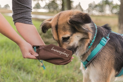 Product image of:TRIXIE PREYDUMMY CANVAS BRUIN